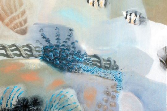 BernadetteCurtin NewReefForming 540x360