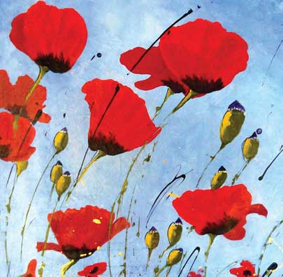 FlandersFieldPoppies JHoffmann 405x396