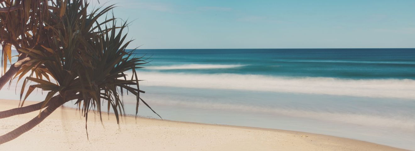 bwyeth shelly beach 2015 1320x480