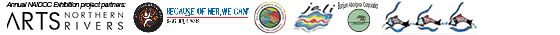 NAIDOC Logo