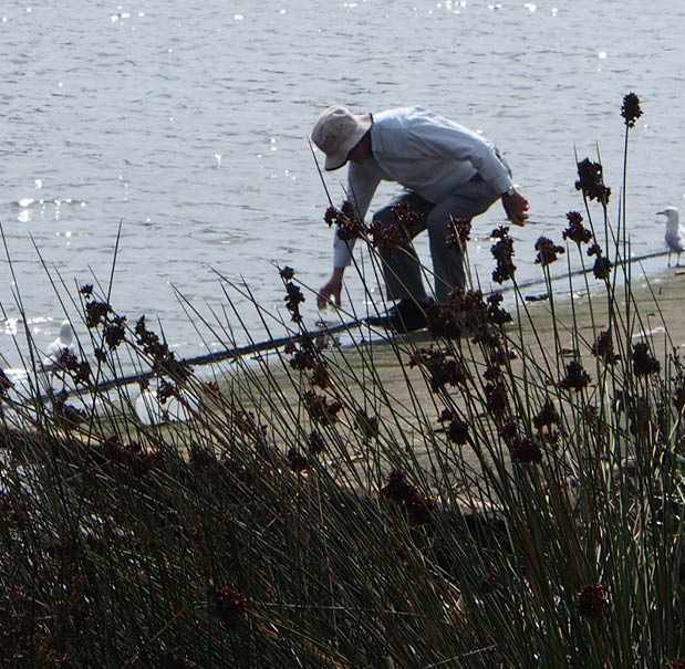 CitizenScience RiverTouching 405x396