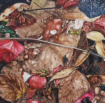 NRCG Web Images Jan Feb 2023 Karena Wynn Moylan Understories Things Fallen 405x396