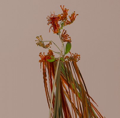 NRCG Web Images March April 2023 Mia Forrest BLOOM 405x396