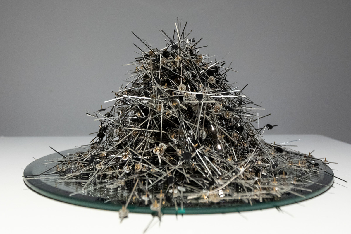 NRCG Web Images Past Artists in Residence Miriam Salomon 2022 20