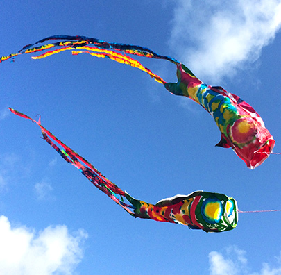 NRCG_SchoolHolidayWorkshops_Kionobori_405x396.jpg